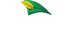 Sherwood Mortgage Group